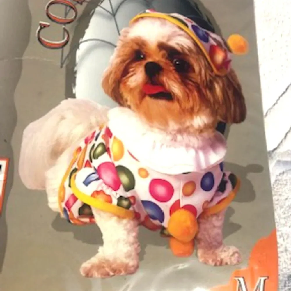 Casual Canine ** doggie